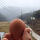 단일농장 이미지