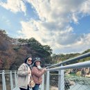 단빵마을 이미지