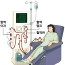 Home ＞ 혈액투석에 관하여 ＞ 이미지