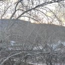 리즈밸리 이미지