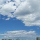 초이농장 이미지