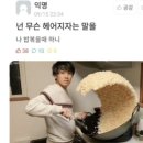 치치차차 이미지