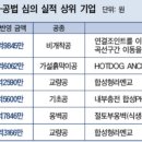씨에스이엔지 대한경제