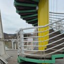 자라섬 주차장 | [경기 가평/자라섬] 경기 가평 가볼만한 곳 _ 자라섬 출렁다리 방문 후기