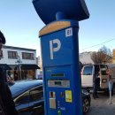 폭스비어&카페(FOX Beer&Cafe) | YVR IN &amp; SEA OUT_#13 Victoria Island (2)Blue Fox Cafe + Fisherman's wharf park