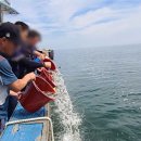 비안도수산 이미지