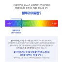 다비치안경익산역점 이미지