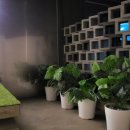 다옴스테이 이미지