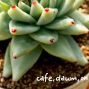 동운농장 이미지