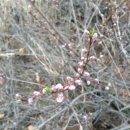 조양농원 이미지