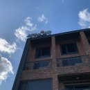 월정씨하루 | 제주 월정리해수욕장 숙소 추천 월정씨하루펜션