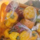 강언근자동차병원 이미지