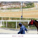 경마공원 이미지