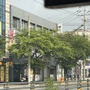 채다올 김밥 중리점 이미지