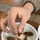 대송버섯집 이미지