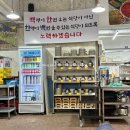 거북섬 여행 생선구이 물회 횟집 - 어쩌다맛집 (내돈내산)