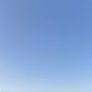 11 이미지