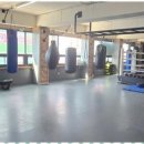 복싱 스페이스 이미지