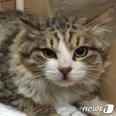 주연동물병원