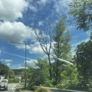 힐링위드독 이미지