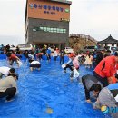 영덕 물가자미 축제 뉴시스
