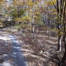 오미2동 이미지