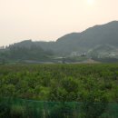 로이농장2 이미지