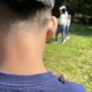 덕도초등학교 | 우리들 자연학교 9월 26일 덕도 초등학교 현장학습 후기
