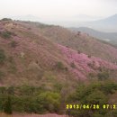 함허동천(주차장) Daum카페