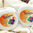 살래오(SaleO)