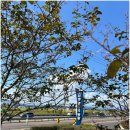 남양 만남의광장 이미지