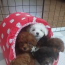 동두천-037 이미지