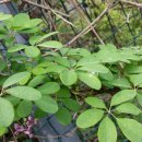 동궁초등학교 이미지