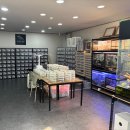 CU 울산남목창일점 | 울산 동구 새로 생긴 파충류샵 SAPURI 다녀온 후기