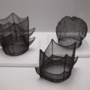 모자나라 이미지