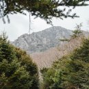 네파 휘슬라이저 PRO 남성 경량 등산화 사이즈 추천 해남 달마고도 초보등산코스 트레킹화