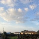 금성 담쟁이 | 제주 서쪽 감성숙소 “금성담쟁이” 안거리 이용후기