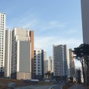 클래시안약국 네이버블로그