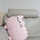 힐링캣 | 더캣 핑크캣애착쿠션 50cm 솔직 후기 | 소파에 두면 힐링되는 고양이쿠션 추천