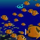 스크린 여행 일본어 이미지