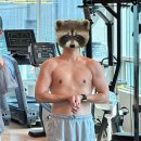 바디퀄리티 | 부산대 피티 바디퀄리티 부산대pt 솔직후기