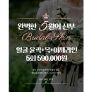미쁘다피부/체형