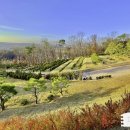 자연목장 이미지