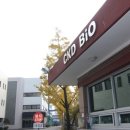 주식회사 비전바이오케어 네이버블로그