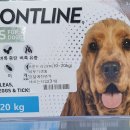 별빛약국 이미지