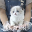 미묘
