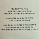 양꼬치 사랑 양갈비 | 위례 맛집 호로롱양꼬치:볏짚양갈비 후기