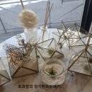 쓰리스완 이미지