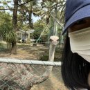 우도당구 이미지