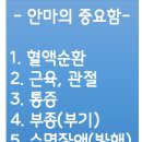 손사부안마센터